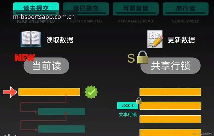 揭秘Bsports竞技氛围安装失败背后的真相：你不知道的系统兼容与数据优化之道